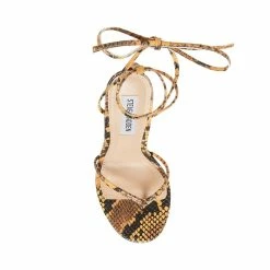 SteveMadden Women's Shoes VADA YELLOW SNAKE