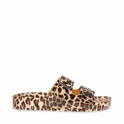 SteveMadden Women's Shoes TEDDY-T LEOPARD