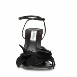 STEVEMADDEN AMANI BLACK Women's Shoes