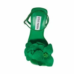 STEVEMADDEN AMANI GREEN Women's Shoes