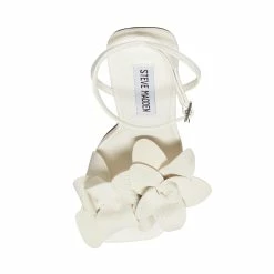 STEVEMADDEN AMANI WHITE Women's Shoes