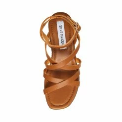 STEVEMADDEN AVRIL COGNAC LEATHER Women's Shoes