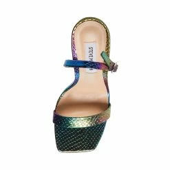 STEVEMADDEN BETHANY MULTI SNAKE Women's Shoes