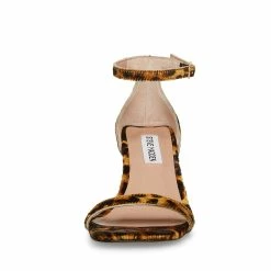 STEVEMADDEN Women's Shoes BLAIRE-L LEOPARD