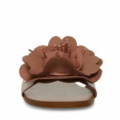STEVEMADDEN CHELSEA BLUSH Women's Shoes