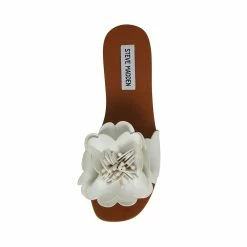 STEVEMADDEN Women's Shoes CHELSEA WHITE