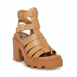 SteveMadden COSMIC TAN Women's Shoes