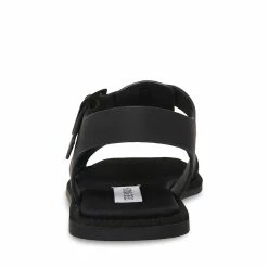 STEVEMADDEN DANICA BLACK Women's Shoes