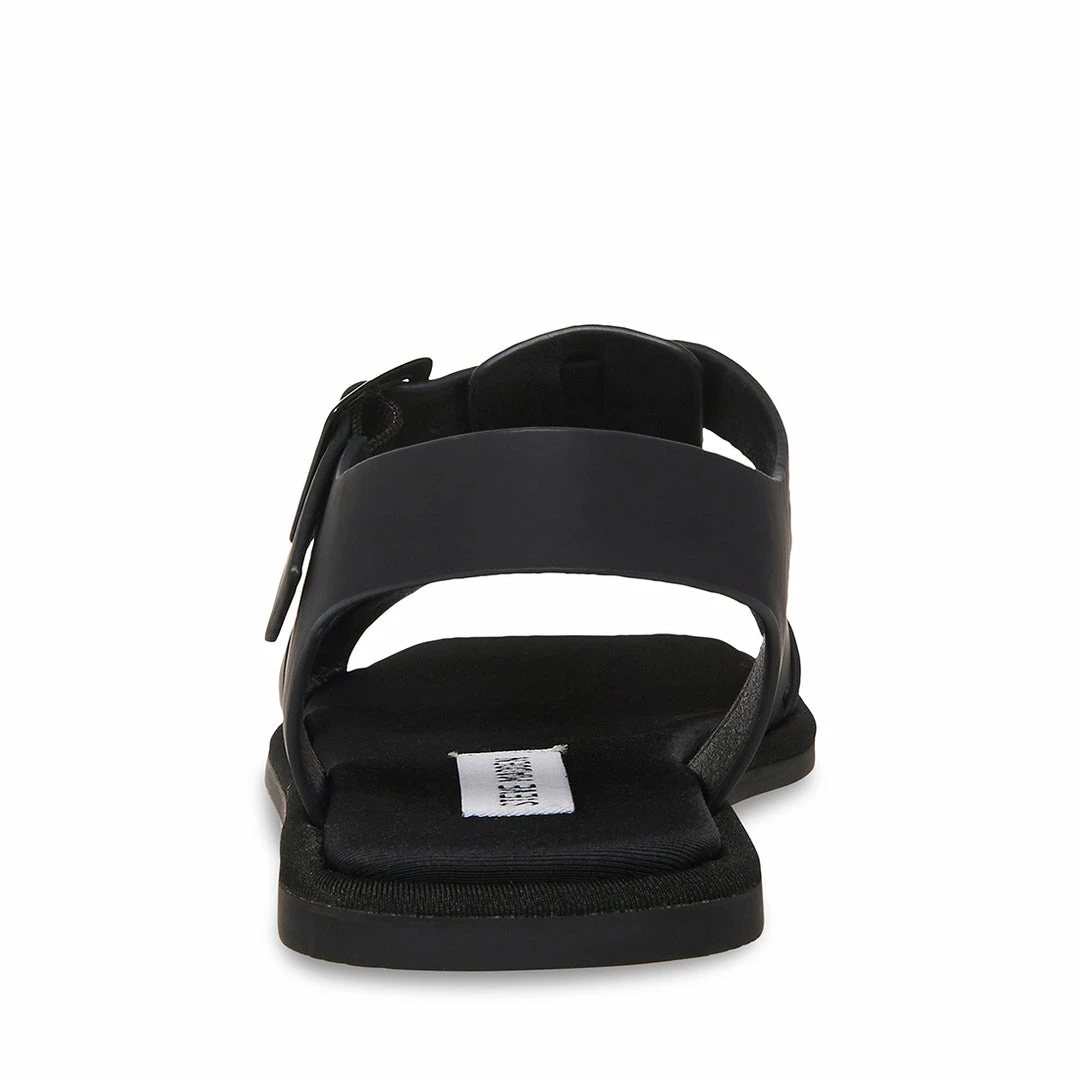 STEVEMADDEN DANICA BLACK Women's Shoes