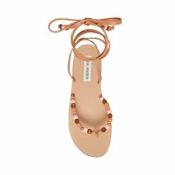 SteveMadden JENNY BLUSH Women's Shoes