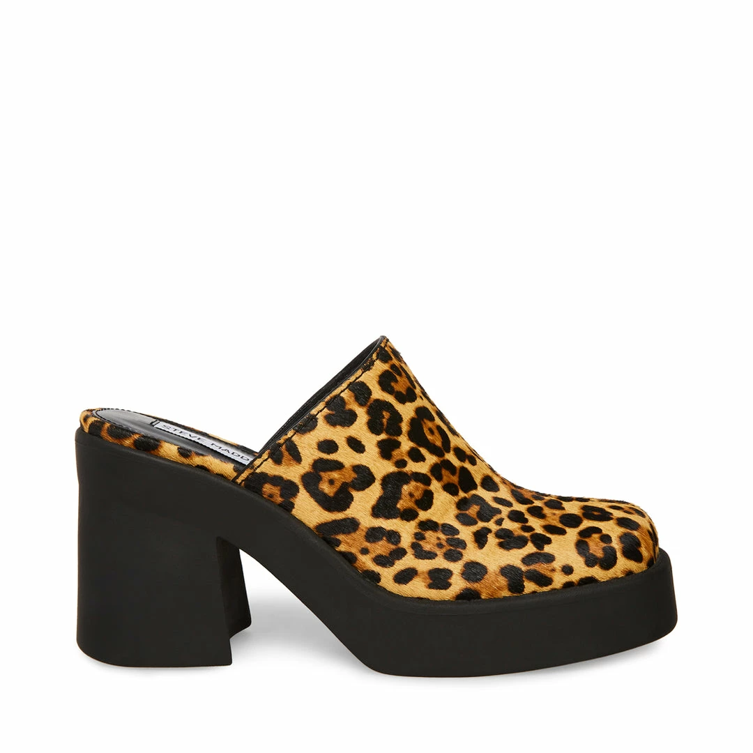 SteveMadden Women's Shoes KAM LEOPARD