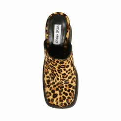 SteveMadden Women's Shoes KAM LEOPARD