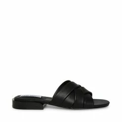 STEVEMADDEN Women's Shoes KESSY BLACK
