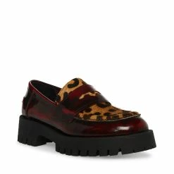 STEVEMADDEN LAWRENCE LEOPARD MULTI Women's Shoes