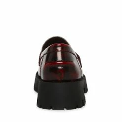 STEVEMADDEN LAWRENCE LEOPARD MULTI Women's Shoes