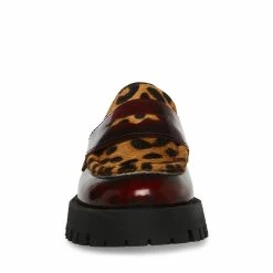 STEVEMADDEN LAWRENCE LEOPARD MULTI Women's Shoes