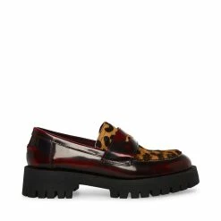 STEVEMADDEN LAWRENCE LEOPARD MULTI Women's Shoes