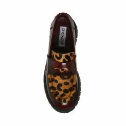 STEVEMADDEN LAWRENCE LEOPARD MULTI Women's Shoes