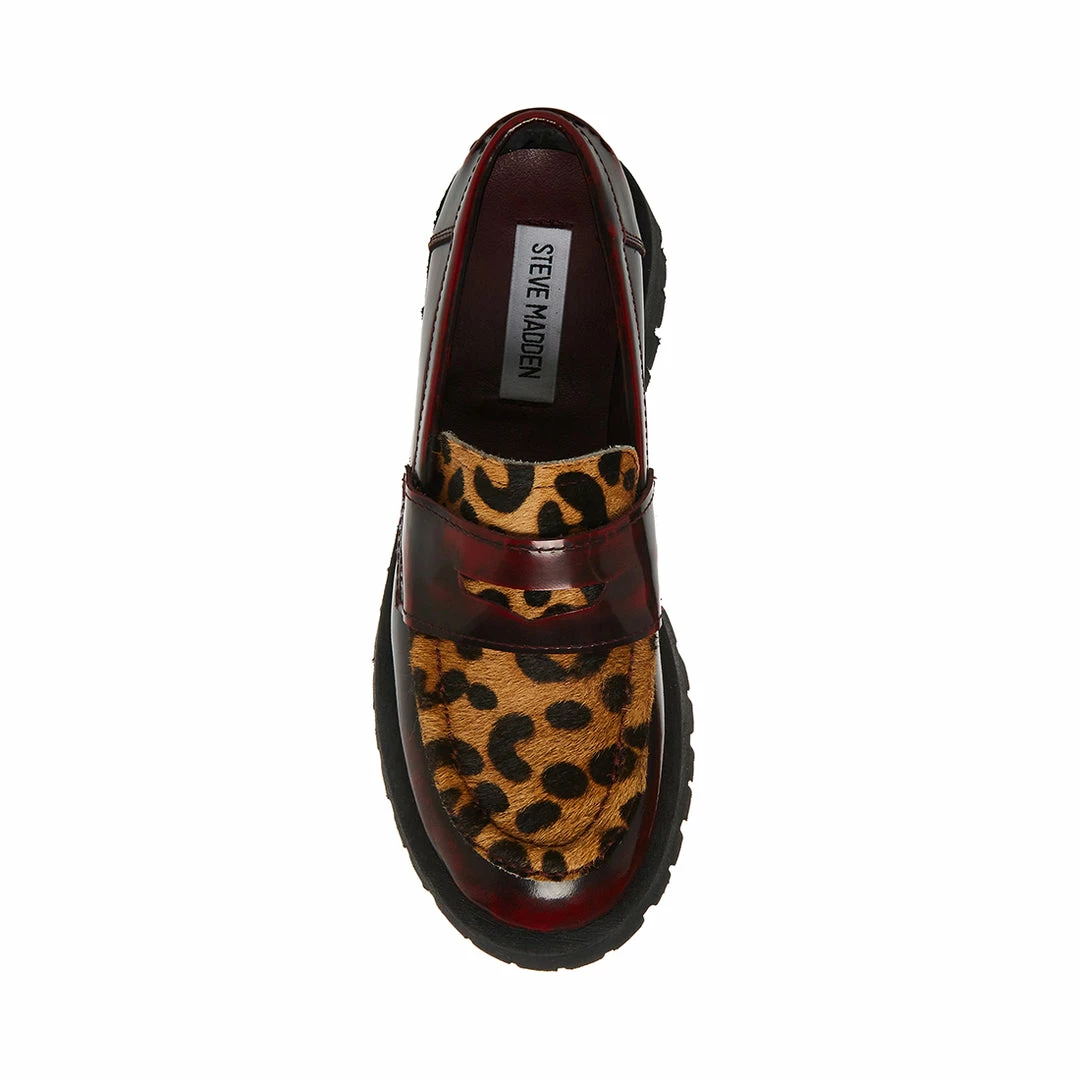 STEVEMADDEN LAWRENCE LEOPARD MULTI Women's Shoes