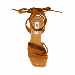 STEVEMADDEN Women's Shoes MARISTELLA CHESTNUT SUEDE