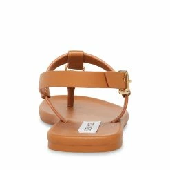 STEVEMADDEN RENATA TAN Women's Shoes