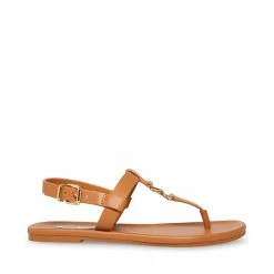 STEVEMADDEN RENATA TAN Women's Shoes