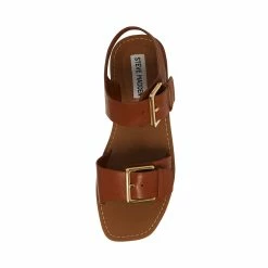 STEVEMADDEN Women's Shoes SANTO COGNAC LEATHER