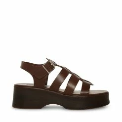 STEVEMADDEN Women's Shoes SARAI BROWN LEATHER