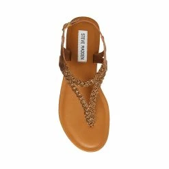 STEVEMADDEN SYDNEY-R BRONZE
