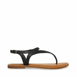 STEVEMADDEN SYDNEY BLACK Women's Shoes