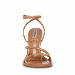 STEVEMADDEN Women's Shoes TALIA BLUSH SNAKE