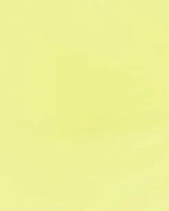 STEVEMADDEN CAMERON SKIRT CITRON Women's Clothing