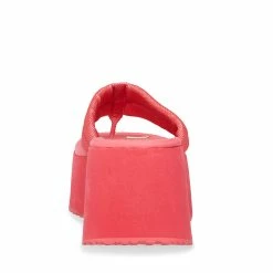 STEVEMADDEN CONTEMPO PINK Women's Shoes