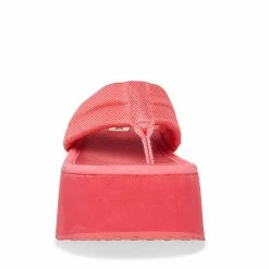 STEVEMADDEN CONTEMPO PINK Women's Shoes