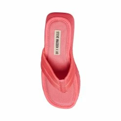 STEVEMADDEN CONTEMPO PINK Women's Shoes