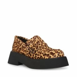 SteveMadden HAYDAN LEOPARD Women's Shoes
