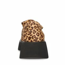 SteveMadden HAYDAN LEOPARD Women's Shoes