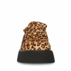 SteveMadden HAYDAN LEOPARD Women's Shoes