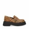 SteveMadden HAYDAN LEOPARD Women's Shoes