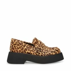 SteveMadden HAYDAN LEOPARD Women's Shoes