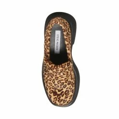 SteveMadden HAYDAN LEOPARD Women's Shoes