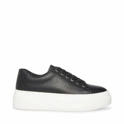 SteveMadden STUDIO BLACK Women's Shoes