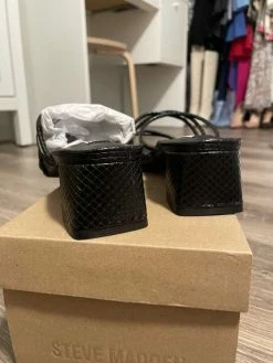 Recurate PAIGE BLACK SNAKE - SM REBOOTED Resale